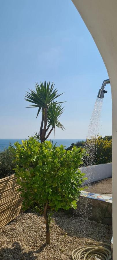 Casa Colomba Sant'Angelo Apartment Sant'Angelo  Екстериор снимка
