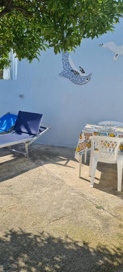 Casa Colomba Sant'Angelo Apartment Sant'Angelo  Екстериор снимка
