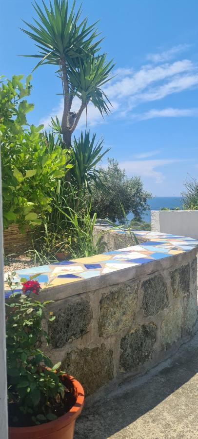 Casa Colomba Sant'Angelo Apartment Sant'Angelo  Екстериор снимка